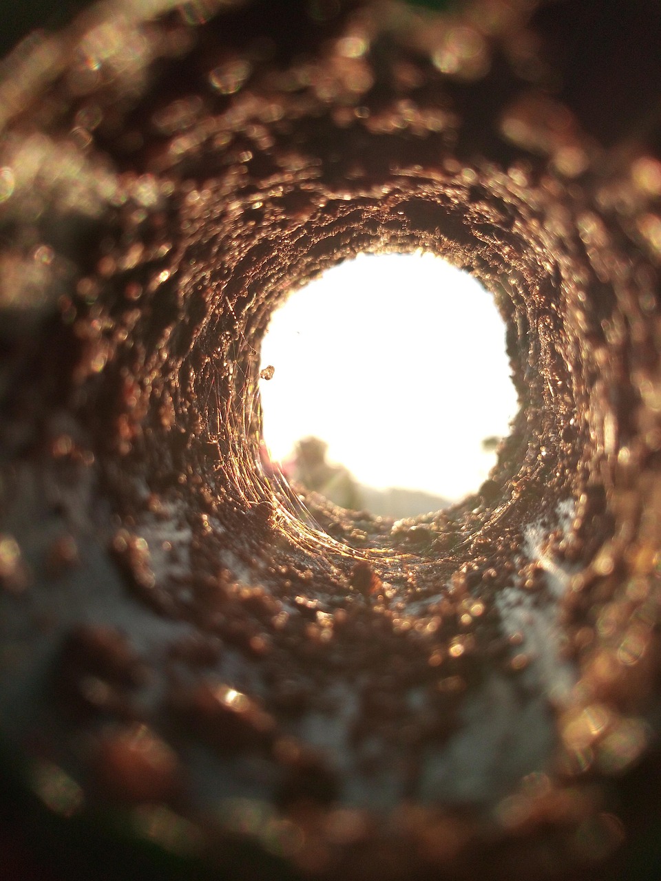 Beyond Schrödinger's Cat: Entanglement's Role In Quantum Computing's Race To Supremacy - Physics