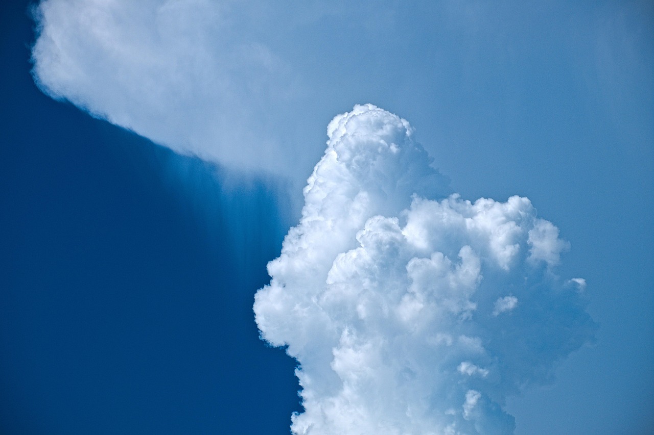 CRISPR-Cas9's Agrarian Revolution: Engineering Drought-Resistant Wheat With Precision Genomics