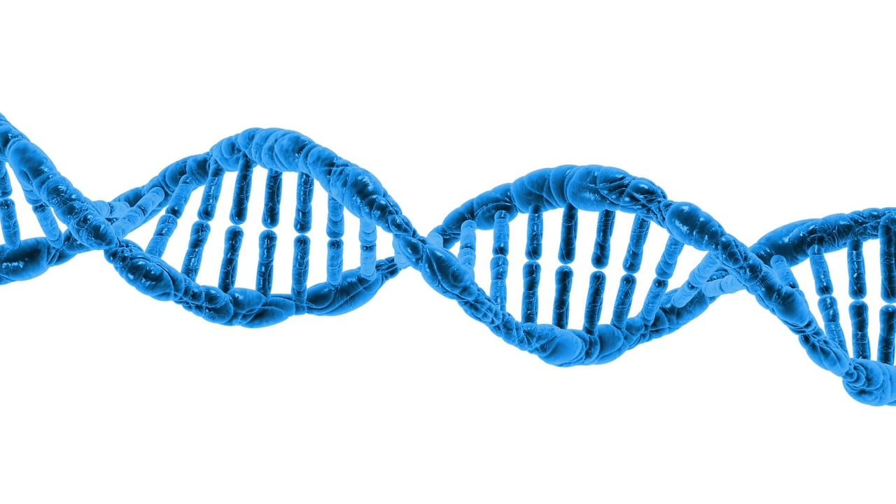 Harnessing Nanopore Technology For Real-Time Dna Sequencing Advances - Technology