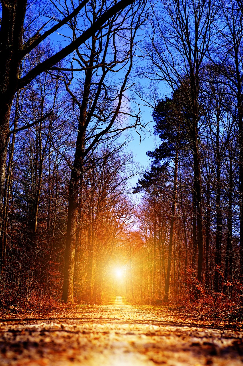 Quantum Teleportation Breakthrough: When Entanglement Meets Practical Applications - Physics