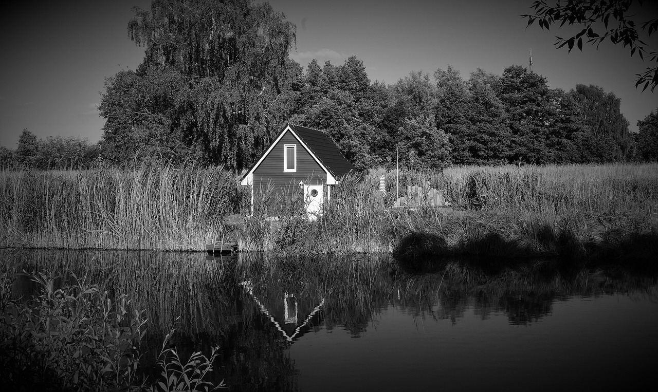 Unearthing The 'Silent Slips': How Microseisms Are Revealing Hidden Fault Line Stress Beneath Urban Centers